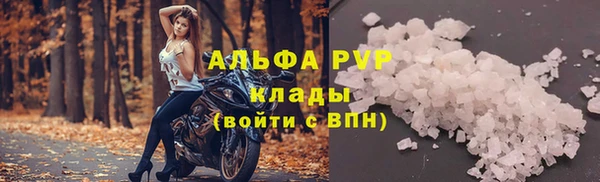 таблы Бородино
