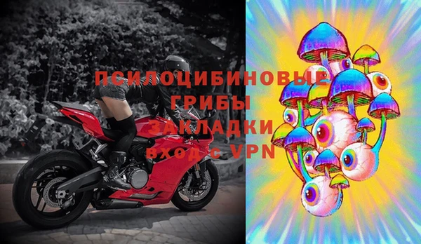 таблы Бородино